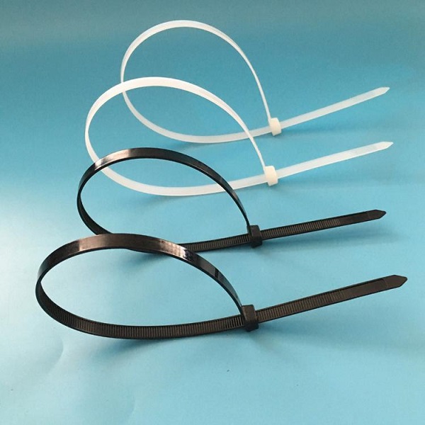 cable tie injection molding cable tie injection molding